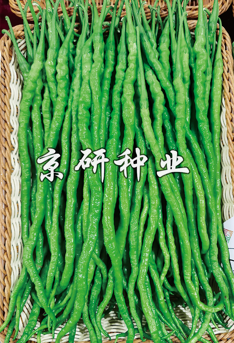 京線(xiàn)118
