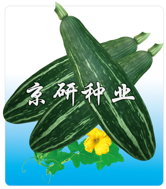 長(cháng)香栗2號